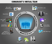 Virtual Team