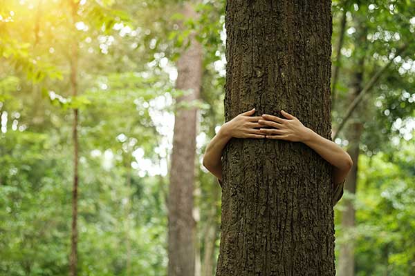 Drupal Development Services and Infrastructure Maintenance & Support for Non-Profit case study