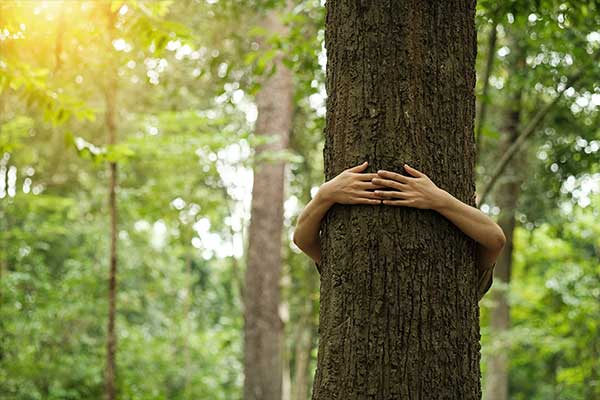 Drupal & Pantheon Site Development and Maintenance case study