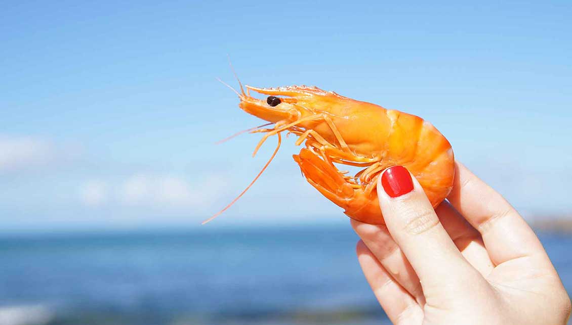 SharePoint intranet portal development, branding & customizations case study